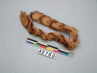 藏品(帶)的圖片